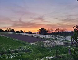 Holiday Home With Coastal Activities