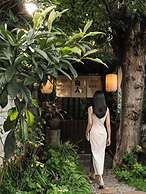 lijiangluxianbaomimihuayuankezhan