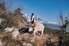 lijiangluxianbaomimihuayuankezhan