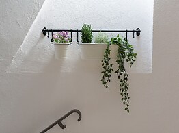 Vibrant and Elegant Downtown Krk Apartments