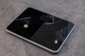 JAPAVISTA Wonderland