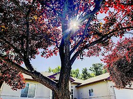 Paradise Hills Oasis 4 Bedroom Home