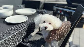 Solana Karuizawa Villa