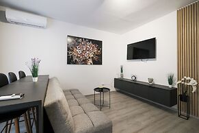 Classy apartments in city center