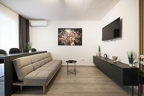 Classy apartments in city center