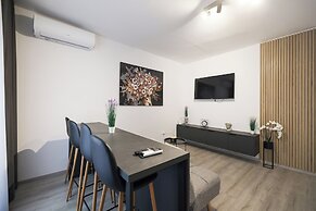 Classy apartments in city center