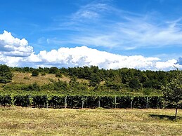Casa Robinson Nature Wifi Istria Croazia