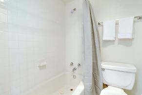 Crystal City Comfortable Apartments