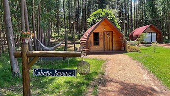 Cabaña Mi Querido Viejo