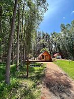 Cabaña Mi Querido Viejo