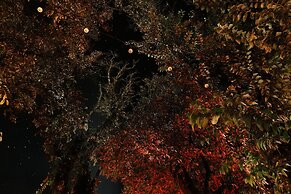 Cabaña Mi Querido Viejo