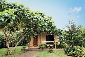 Cabaña Mi Querido Viejo