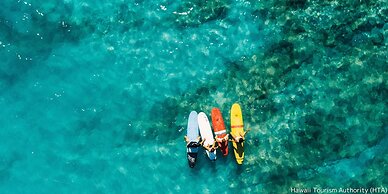 FIRST CABIN INTERNATIONAL HAWAII