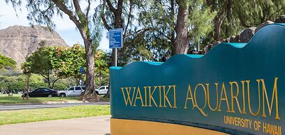 FIRST CABIN INTERNATIONAL HAWAII