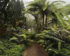 Warung Rekreasi Bedugul