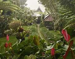 Warung Rekreasi Bedugul