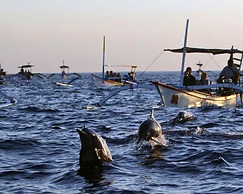 Warung Rekreasi Bedugul