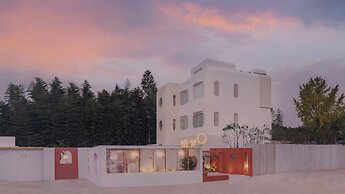 Qi Meng New moon branch