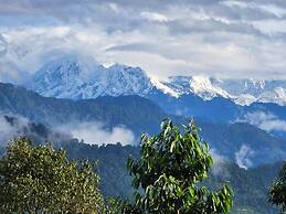 RedPanda Jungle Camp