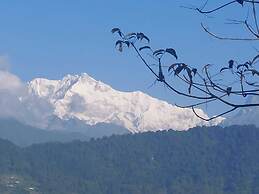 RedPanda Jungle Camp