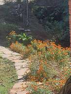 RedPanda Jungle Camp