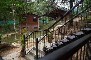 RedPanda Jungle Camp