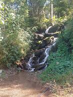 RedPanda Jungle Camp