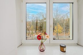 ShortStayPoland Szara B170