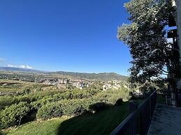 Ski-in/ski-out Mountain Side - Winter Shuttle Wifi Fireplace