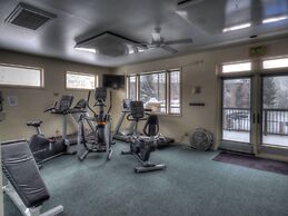 Ski-in/ski-out Mountain Side - Winter Shuttle Wifi Fireplace