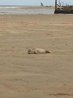 Seaside Chalet /caravan Retreat in Great Yarmouth