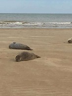 Seaside Chalet /caravan Retreat in Great Yarmouth