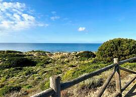 Cozy Studio With View