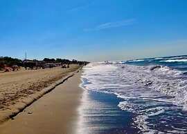 Cozy Studio With View