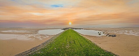 Newly Built Flat Near the City Centre