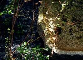 Country house in Kyoto Japan