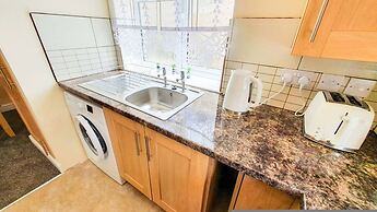 Blue Orchid in Stroud