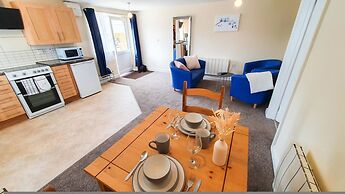 Blue Orchid in Stroud