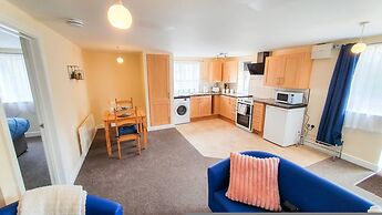 Blue Orchid in Stroud