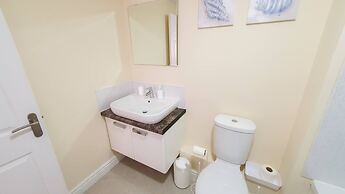 Blue Orchid in Stroud