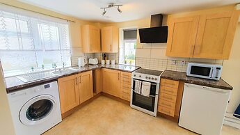 Blue Orchid in Stroud