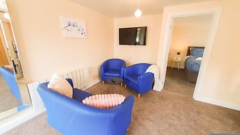 Blue Orchid in Stroud