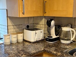 Orange Lilly in Stroud