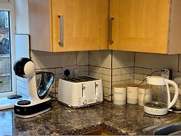 Orange Lilly in Stroud