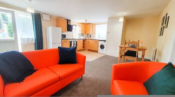 Orange Lilly in Stroud