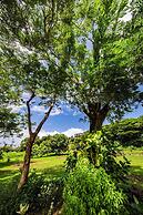Maui Creek Bures