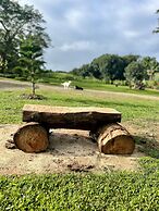 Maui Creek Bures