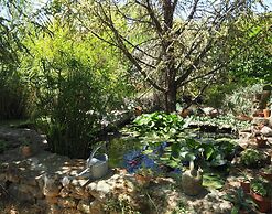 Charming Holiday Home With Garden and Private Pool, Vernegues-ex TUI