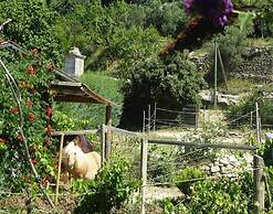 Charming Holiday Home With Garden and Private Pool, Vernegues-ex TUI