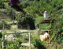 Charming Holiday Home With Garden and Private Pool, Vernegues-ex TUI